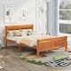 Option Oak