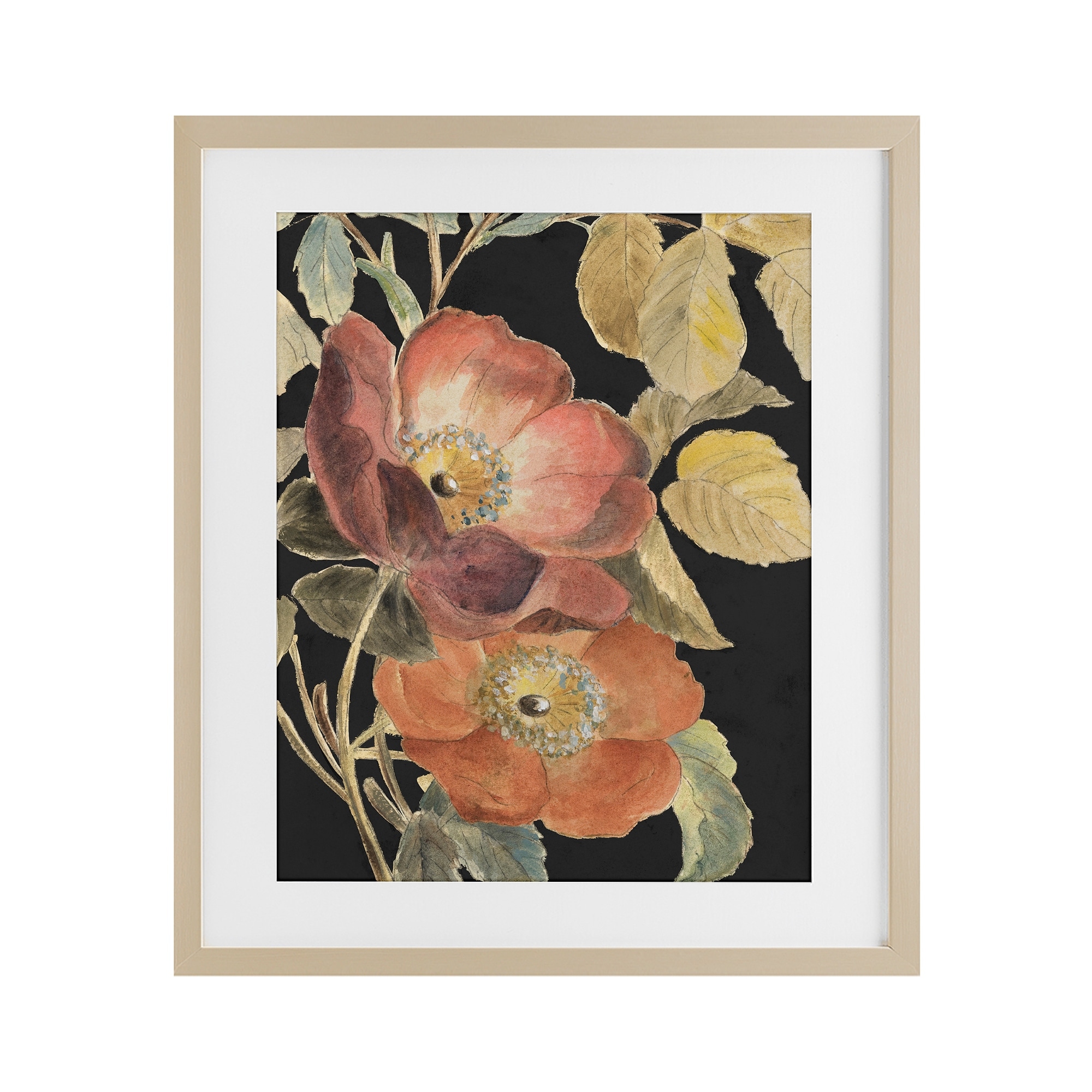 Stupell Red Flower over Black Under Glass Framed Design By Lanie Loreth