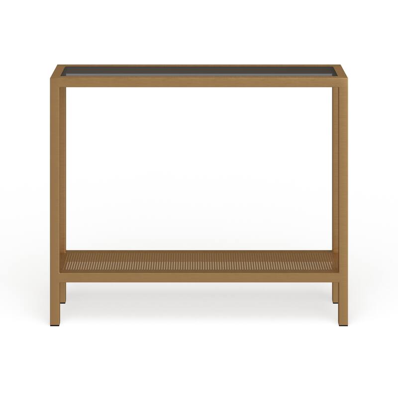 Rigan Modern Metal and Glass Console Table
