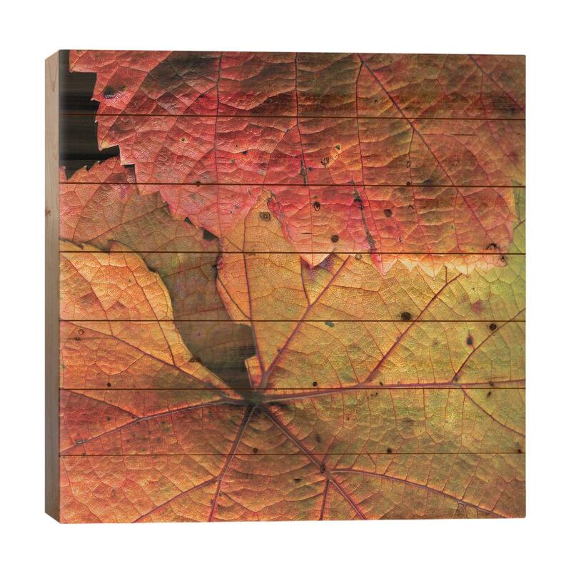 Vine Leaves Print On Wood by Magda Indigo - Multi-Color - 26x26x1.5