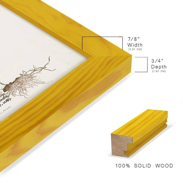 dimension image slide 16 of 21, Nature Printed Ferns IX -Framed Print w/glass-Cherry Red