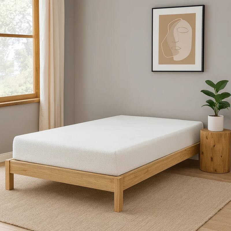 Bree 8 Inch Plush Full Size Mattress with Cool Gel Foam, Aloe Vera Infused