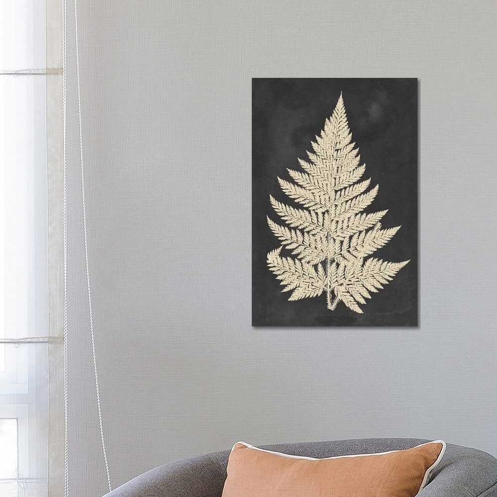iCanvas "Linen Fern I" by Vision Studio Canvas Print