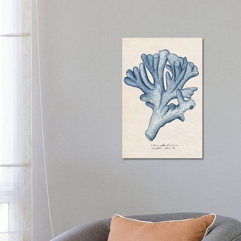 iCanvas "Sea Coral Study I" by Melissa Wang Canvas Print - 26x18x1.5