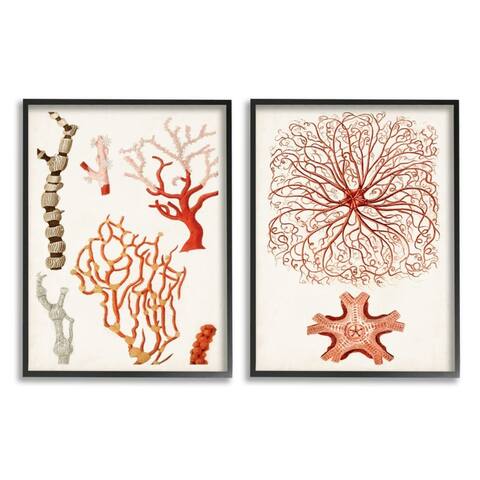 Stupell Industries Collage of Unique Ocean Coral Red Brown, 2pc Multi Piece Framed Wall Art Set