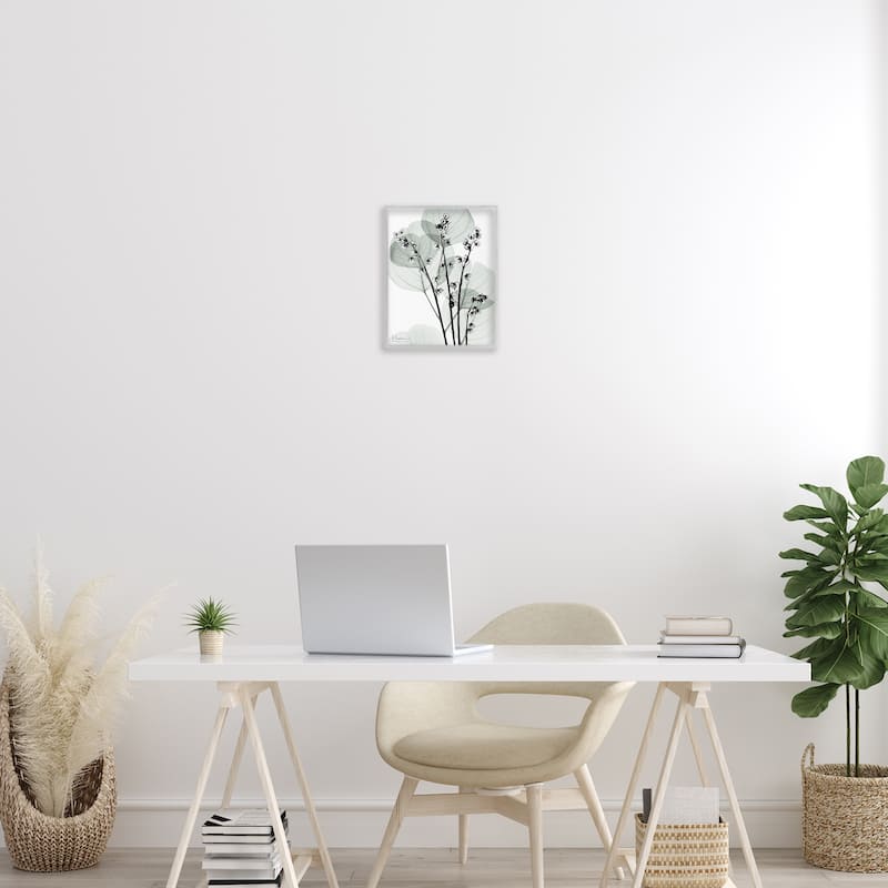 Stupell Fresh Minimalist Herbs Framed Giclee Art Design By Albert Koetsier