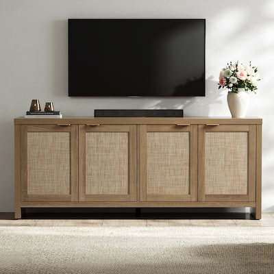 Vintage TV Cabinet with Practical Storage and Adjustable Shelves