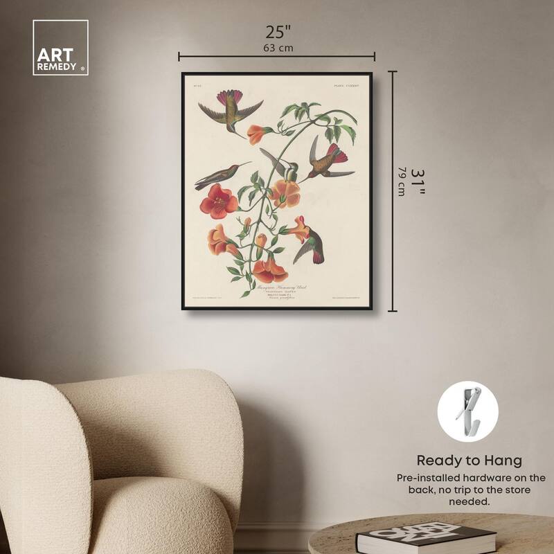 Humming Bird 1834 Canvas by Art Remedy