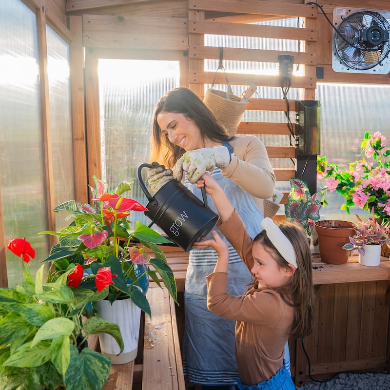 Backyard Discovery 9 x 6 Willow Greenhouse