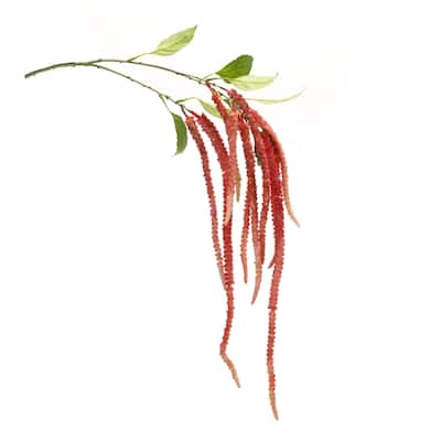 Artificial Amaranthus Stem Spray - 53.25" - Red - Set of 4
