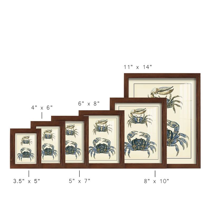 Antique Blue Crabs II -Framed Print w/glass-Cherry Red