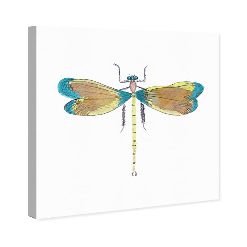 Wynwood Studio Canvas Animals Spring Dragonfly Blue and Turquoise Rustic Wall Art Canvas Print