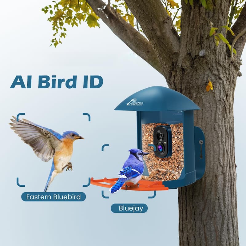 Smart Solar Bird Feeder with Camera and Interactive App