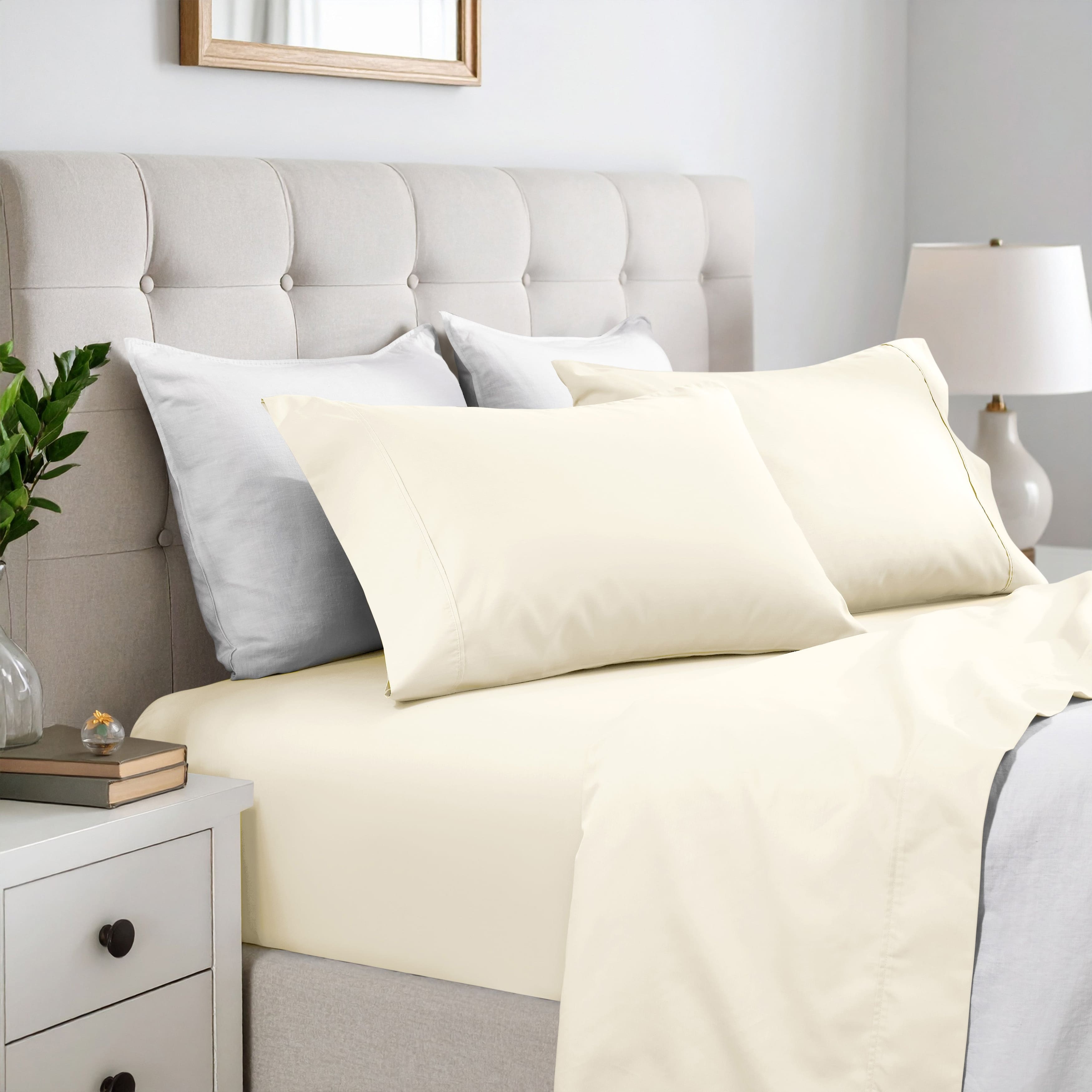 Option Ivory