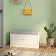 preview thumbnail 1 of 7, Hallway Shoe Storage Bench with Adjustable Shelves