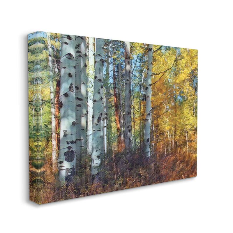Stupell Cluster of Birch Trees in Yellow Autumn Forest Canvas Wall Art - Multi-Color