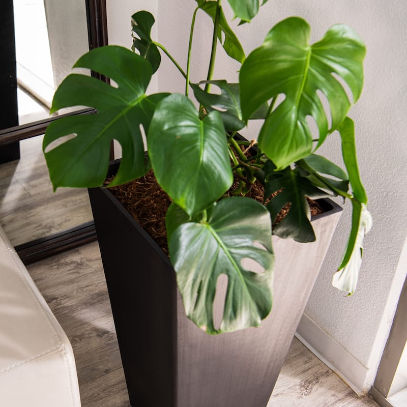 XBrand Modern Square Tapered Planter – 28" or 30" Tall, Indoor & Outdoor Use