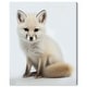 preview thumbnail 2 of 3, Wynwood Studio Canvas Animals Baby Animal Artic Fox White and Cream White Modern & Contemporary Wall Art Canvas Print