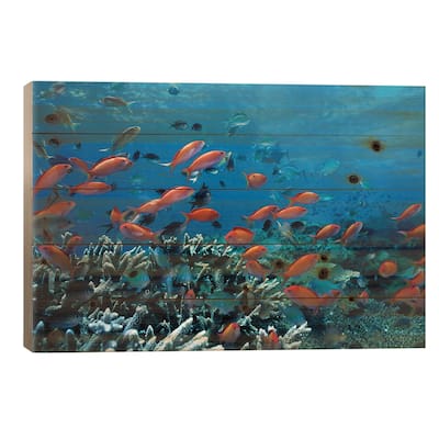 Ocean Fish Coral Reef Print On Wood by Unknown Artist - Multi-Color