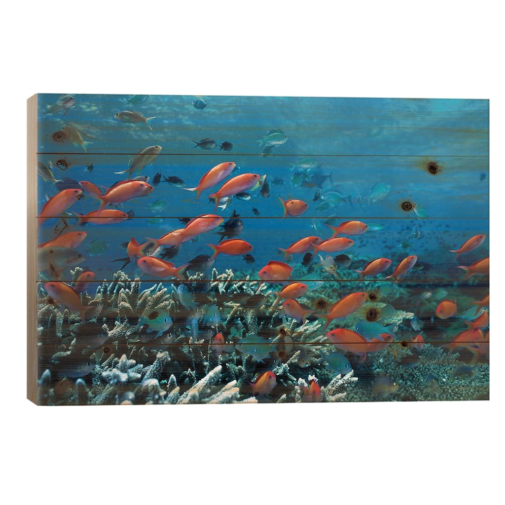 Ocean Fish Coral Reef Print On Wood by Unknown Artist - Multi-Color