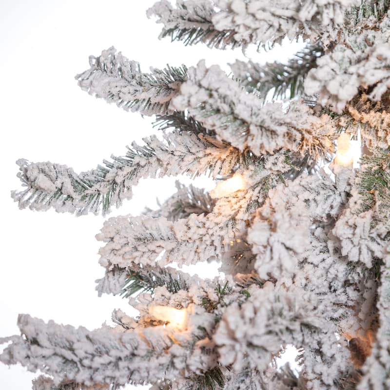 6 Foot Pre Lit Flocked Alpine Tree with 150 clear lights - N/A