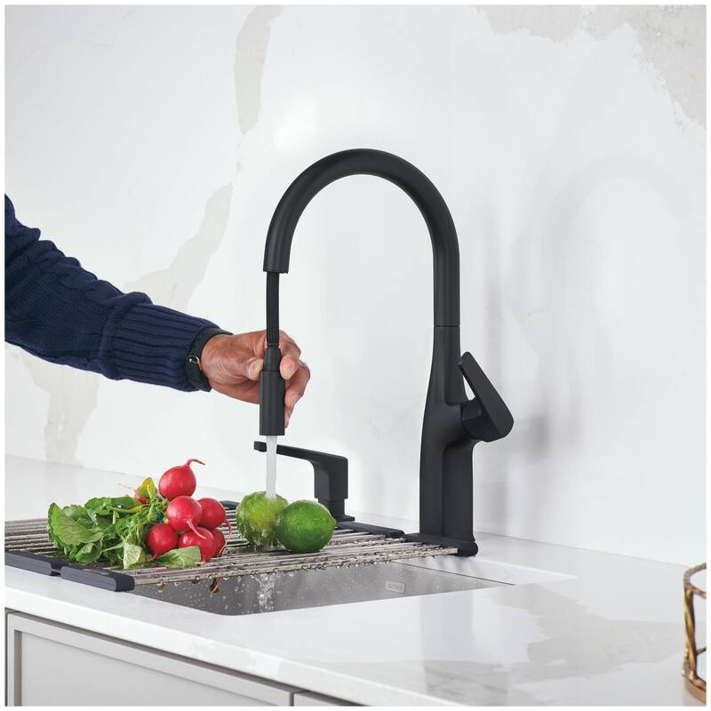 Blanco Rivana 1.5 GPM Single Hole Pull Down Kitchen Faucet