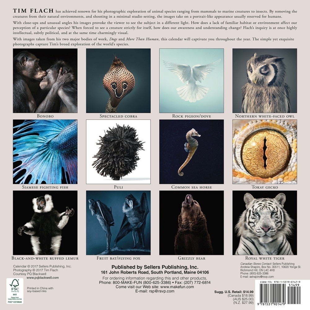 Shop Tim Flach More Than Human Wall Calendar Wildlife By Sellers
