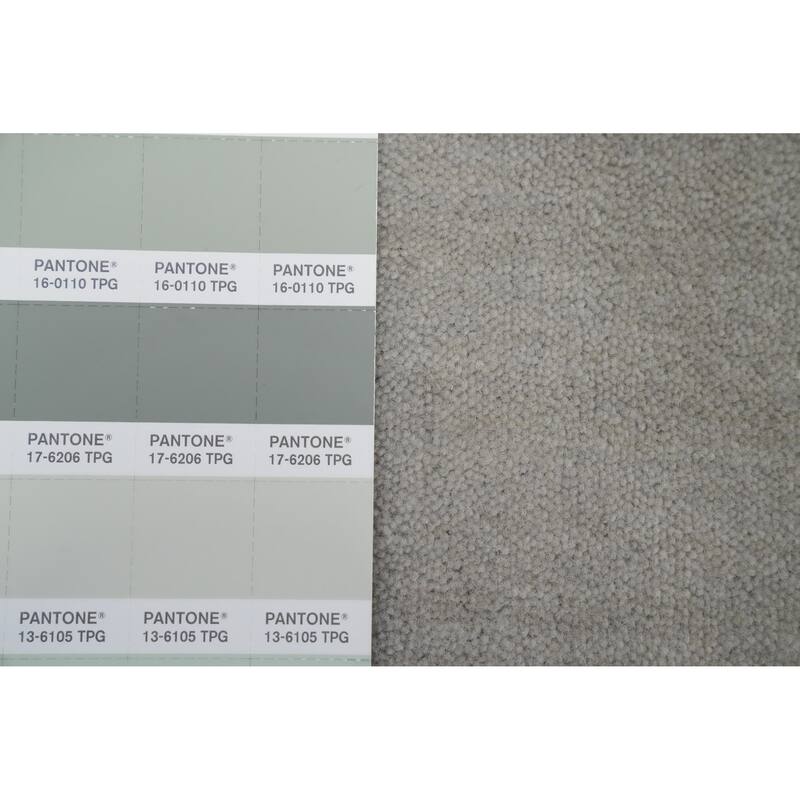 Hand Knotted Oriental 100% Wool Carpet Tribal Animal Pictorial Greys & Charcoal Gabbeh Area Rug - 4' 0'' X 2' 9''