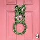 preview thumbnail 16 of 16, Fraser Hill Farm 24-inch Boxwood Bunny Wreath