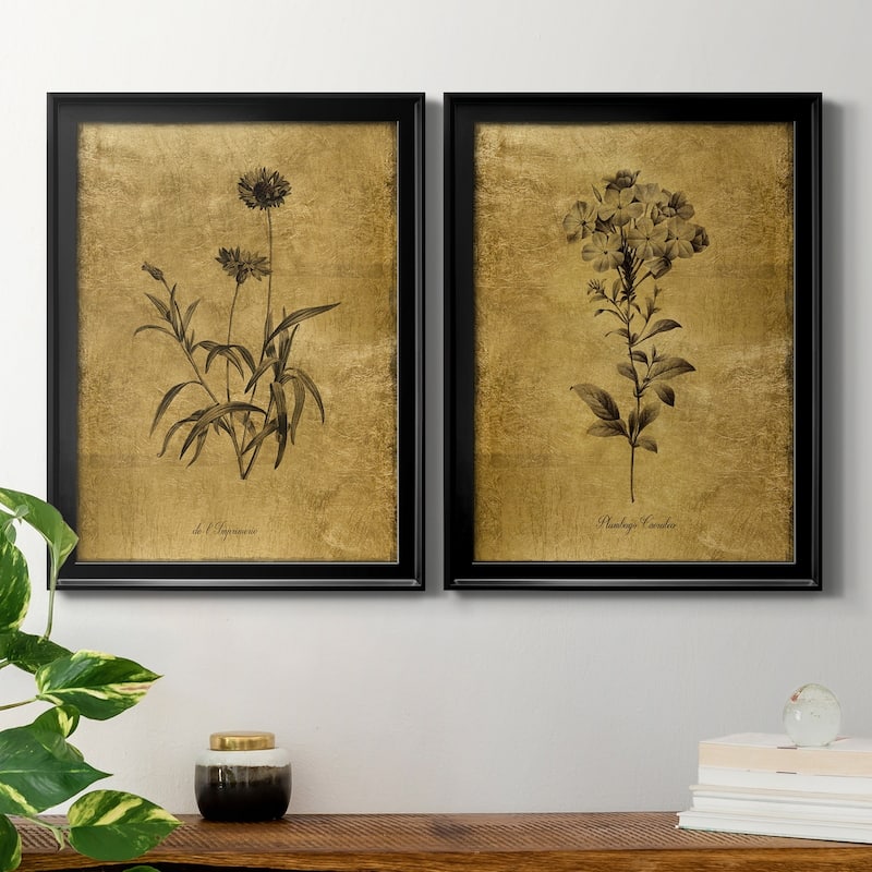 Gold Sketch Botanical I Premium Framed Print - Ready to Hang - Multi-Color
