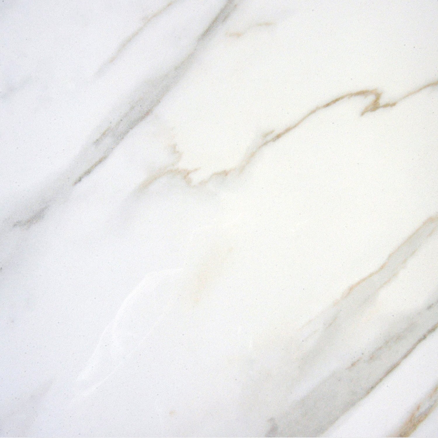 Ackland AKNPTAST24X24P-CA Astoria - 24" x 24" Porcelain Solid Floor