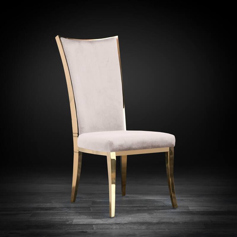 Massimo Titanium Gold Stainless Steel Dining Chair, Set of 2