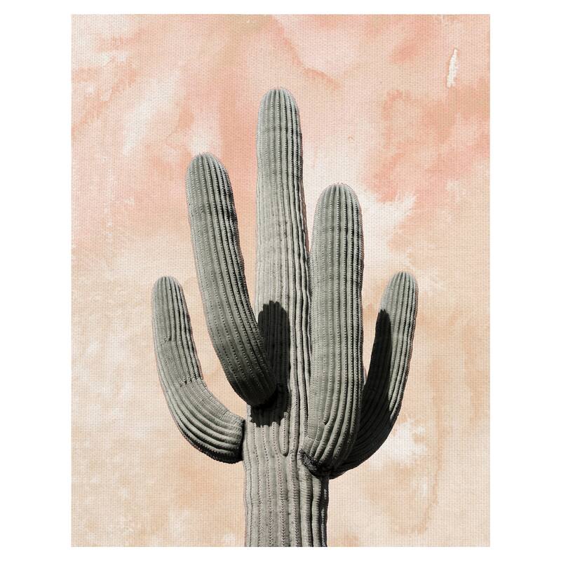 Desert Wash Coral II by Belle Maison Canvas Art Print