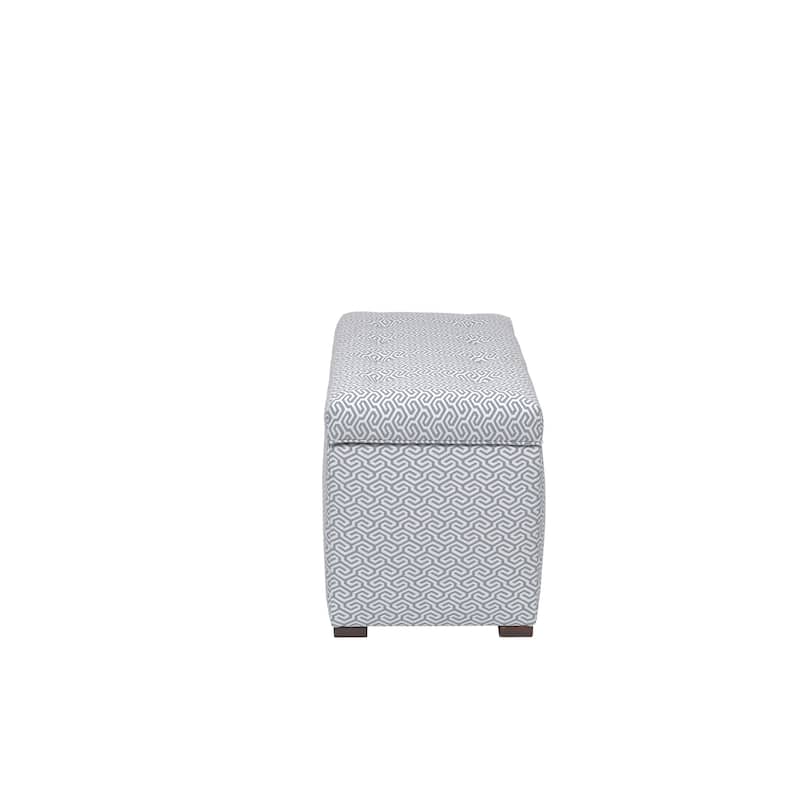 Angela Transitional Living Room Storage Trunk Bench