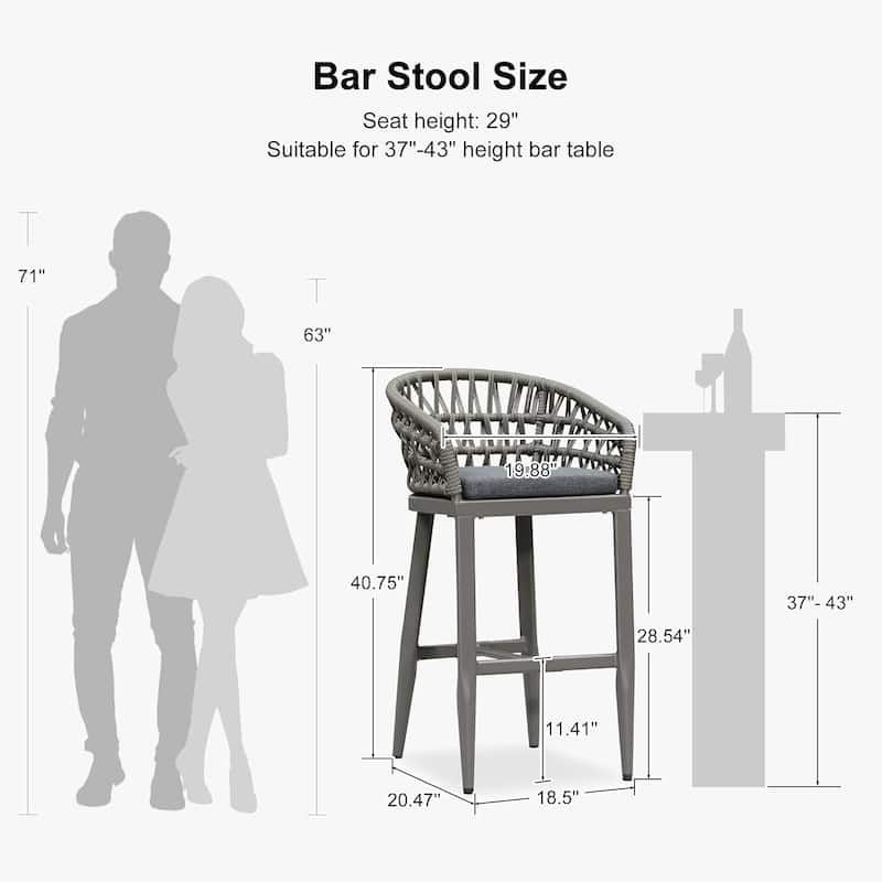 PURPLE LEAF Outdoor Dining Chairs Set of 2 Patio Bar Stools