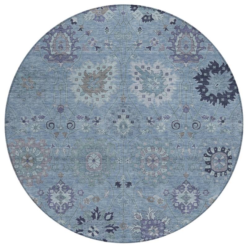 Machine Washable Indoor/ Outdoor Vintage Traditional Chantille Rug