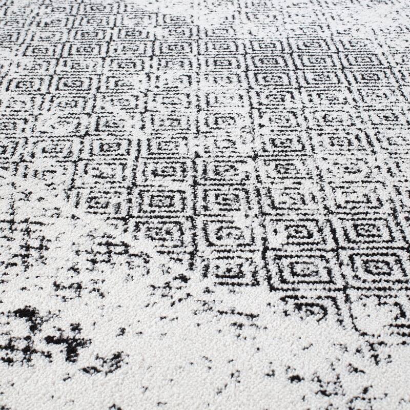 Bohemian Distressed Border Area Rug
