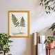 preview thumbnail 33 of 138, Nature Printed Ferns IX -Framed Print w/glass-Cherry Red
