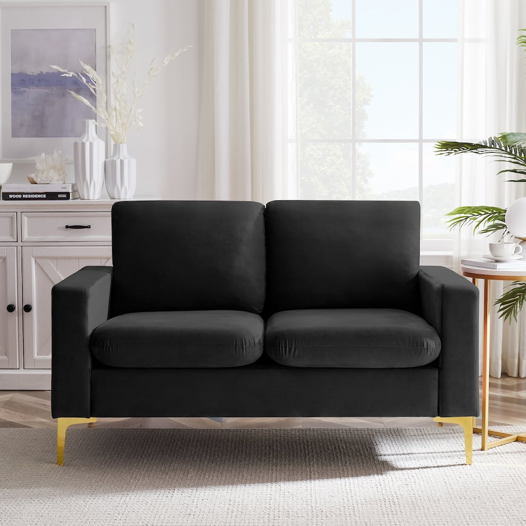 Velvet Loveseat with Gold Metal Legs & Square Armrest Small Couch Sofa