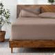 Option Taupe