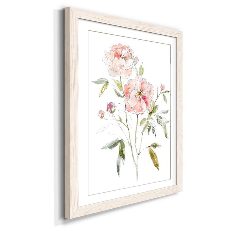 Sketchbook Cottage Rose I-Premium Framed Print - Ready to Hang