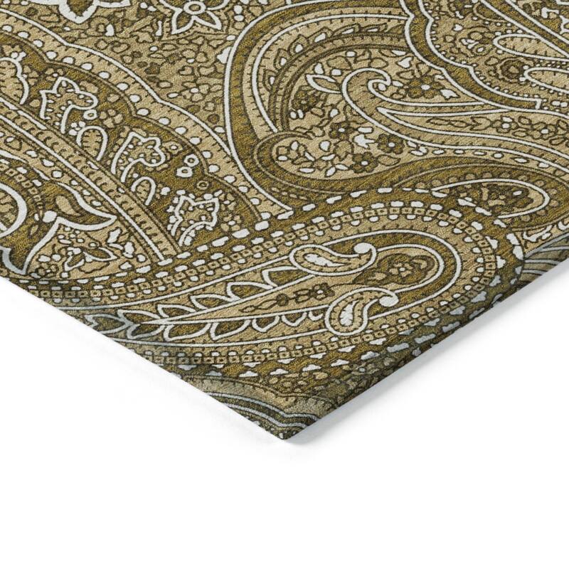 HomeRoots Paisley Traditional Rectangle Outdoor Rug