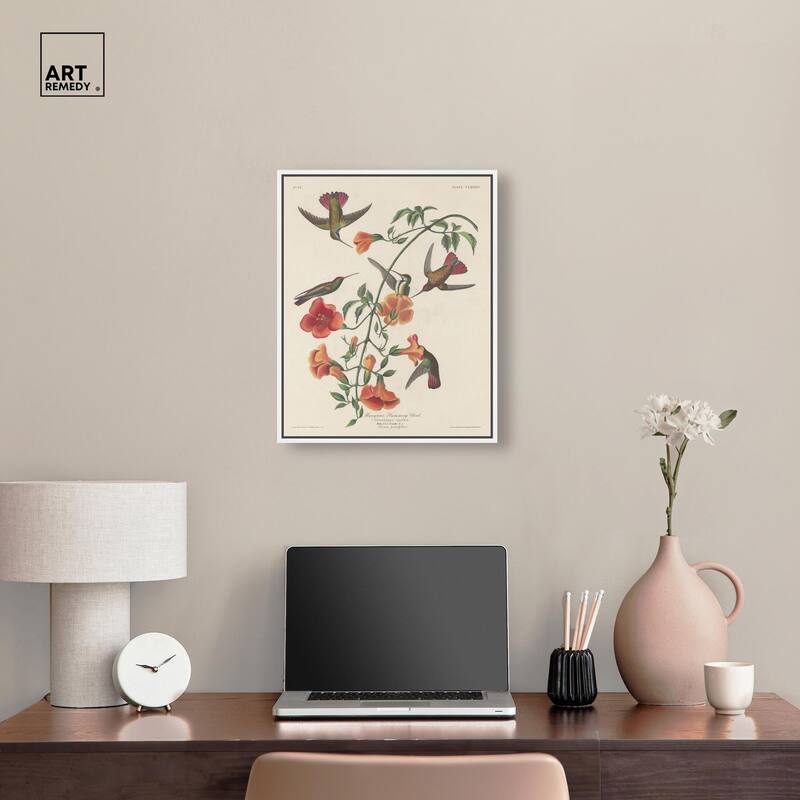 Humming Bird 1834 Canvas by Art Remedy