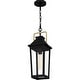 preview thumbnail 3 of 5, Buckley 1-Light Outdoor Hanging Lantern in Matte Black