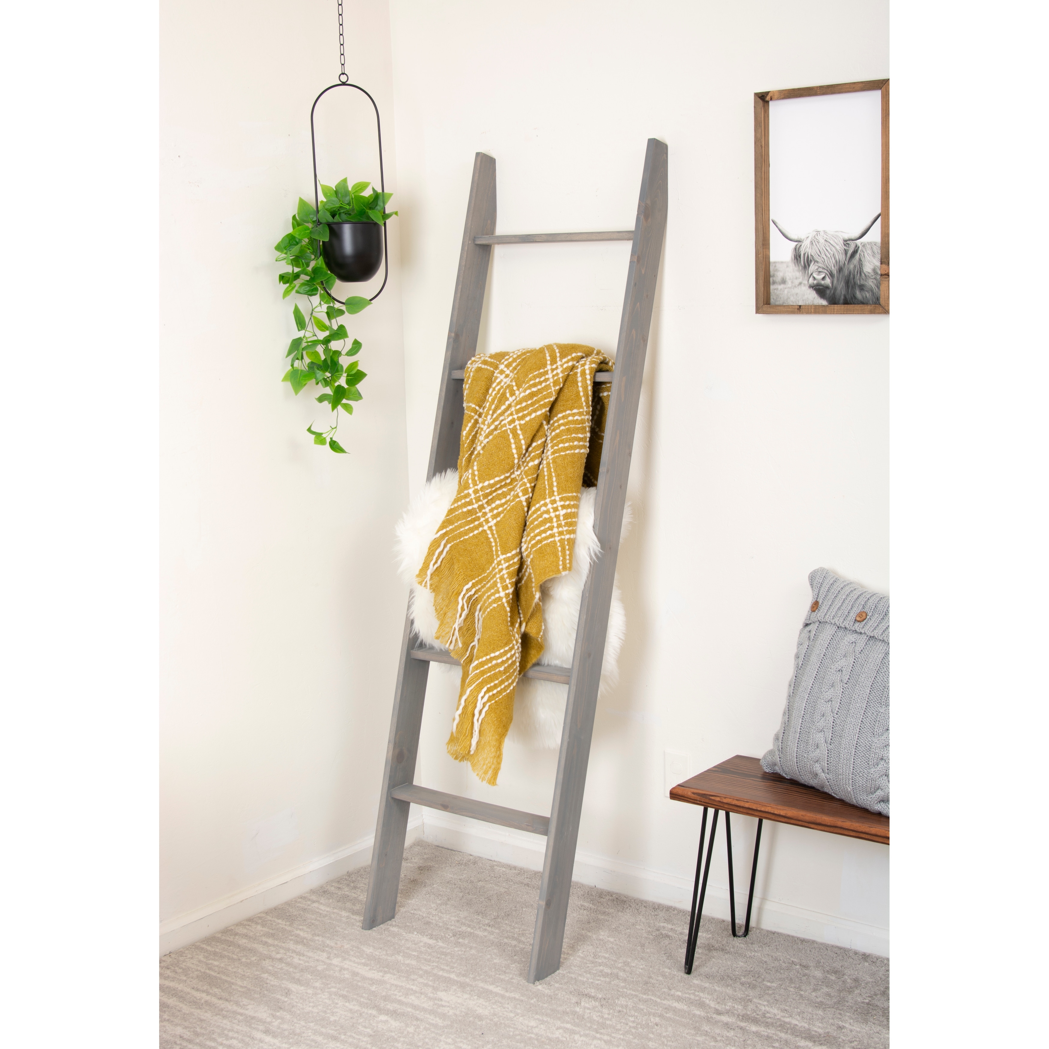 Lucus 72" Decorative Ladder - -