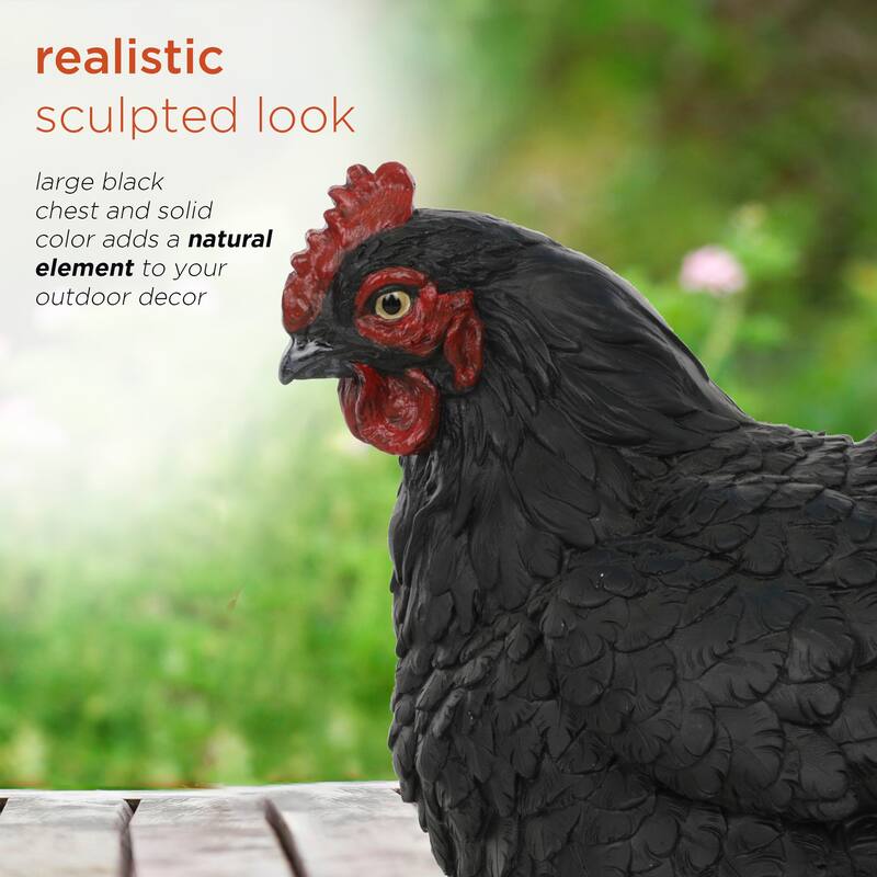 Magnesium Oxide Resting Black Hen Statuary