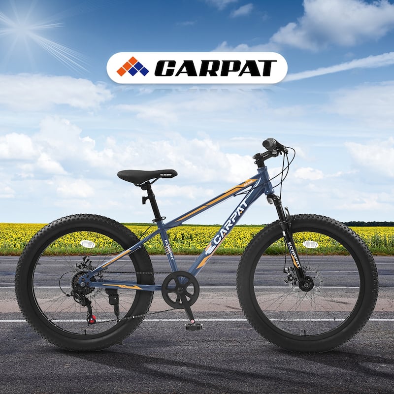 Fat Tire Mountain Bike - Shimano 7 Speeds, Dual Disc Brake, High-Carbon Steel Frame, Front Suspension, Adult/Youth - 24