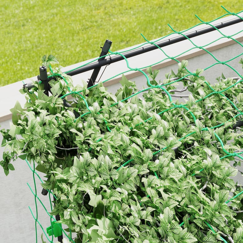 Black Steel PE Trellis Frame Tomato Cage with Clips and Triangular Support - 87.8" W x 87.8" D x 87.8" H