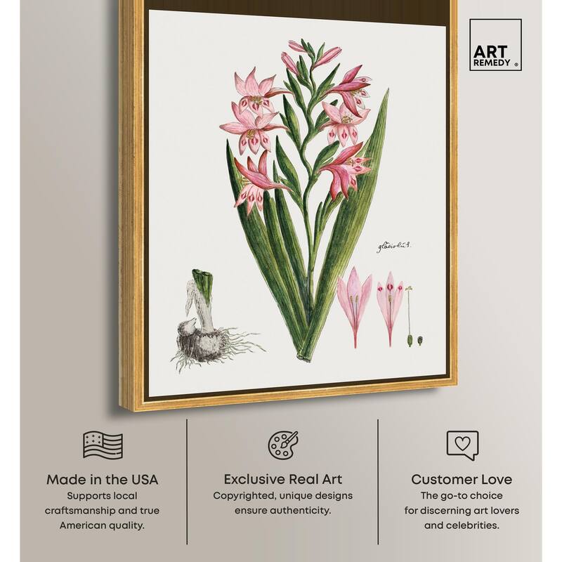 Gladiolus Carneus Canvas by Art Remedy