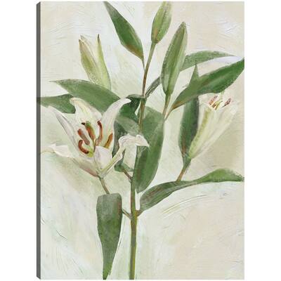 Lys Blancs I By Studio Arts Canvas Art Print